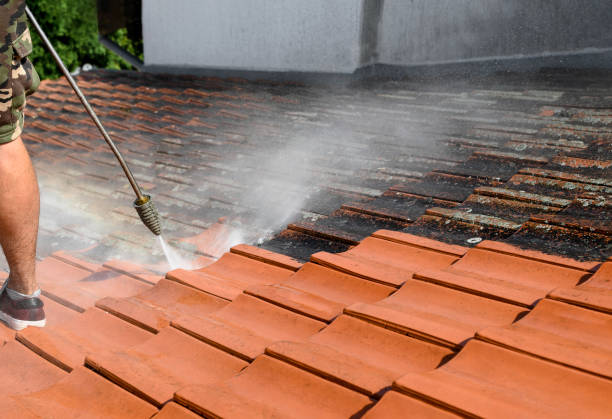 Best Residential Pressure Washing Services  in Central City, IL
