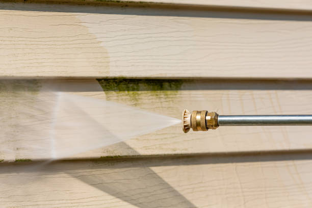 Best Sidewalk Pressure Washing  in Central City, IL